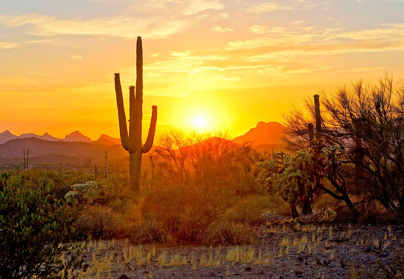 Why 4 major Arizona insurance carriers  are dropping PPO plans in favor of HMO  plans
